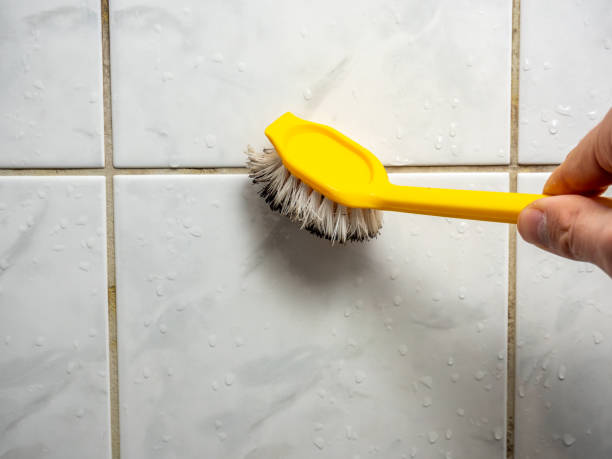 Best White Mold Remediation in Oradell, NJ